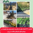 کاشت ۲۴۰ اصله نهال به مناسبت فرارسیدن بهار طبیعت در بیمارستان شهدای سلامت نی ریز