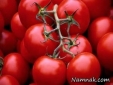 شیوه نگهداری گوجه فرنگی برای مصرف در زمستان