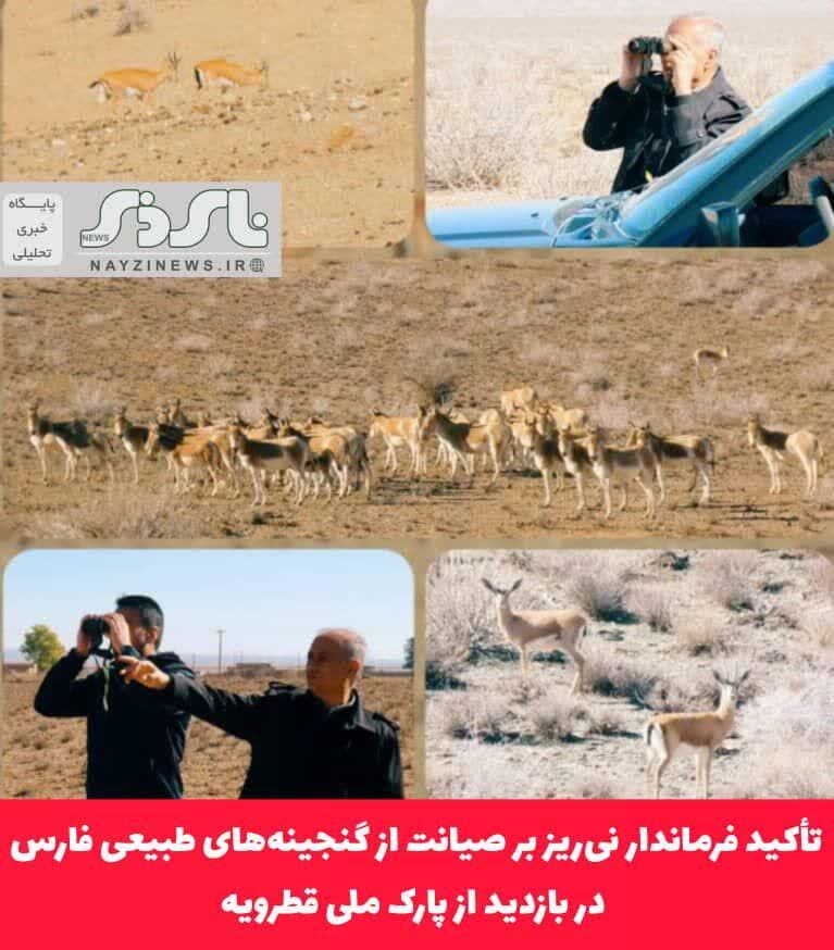 تأکید فرماندار نیریز بر صیانت از گنجینههای طبیعی فارس در بازدید از پارک ملی قطرویه تأکید فرماندار نیریز بر صیانت از گنجینههای طبیعی فارس در بازدید از پارک ملی قطرویه