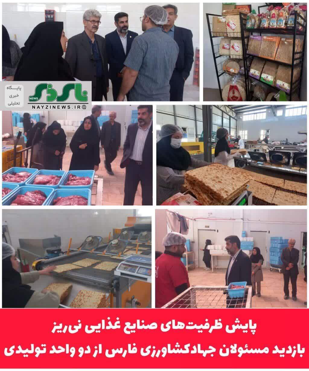 پایش ظرفیتهای صنایع غذایی نیریز؛ بازدید مسئولان جهادکشاورزی فارس از دو واحد تولیدی پایش ظرفیتهای صنایع غذایی نیریز؛ بازدید مسئولان جهادکشاورزی فارس از دو واحد تولیدی