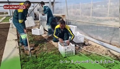 کلیپ/  شهر خوب ساختنی است