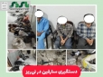 دستگیری سارقین در نی‌ریز