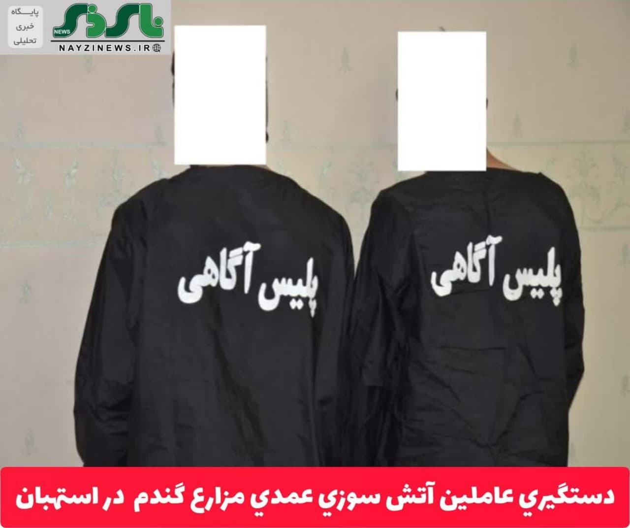 دستگيري عاملین آتش سوزي عمدي مزارع گندم  در استهبان