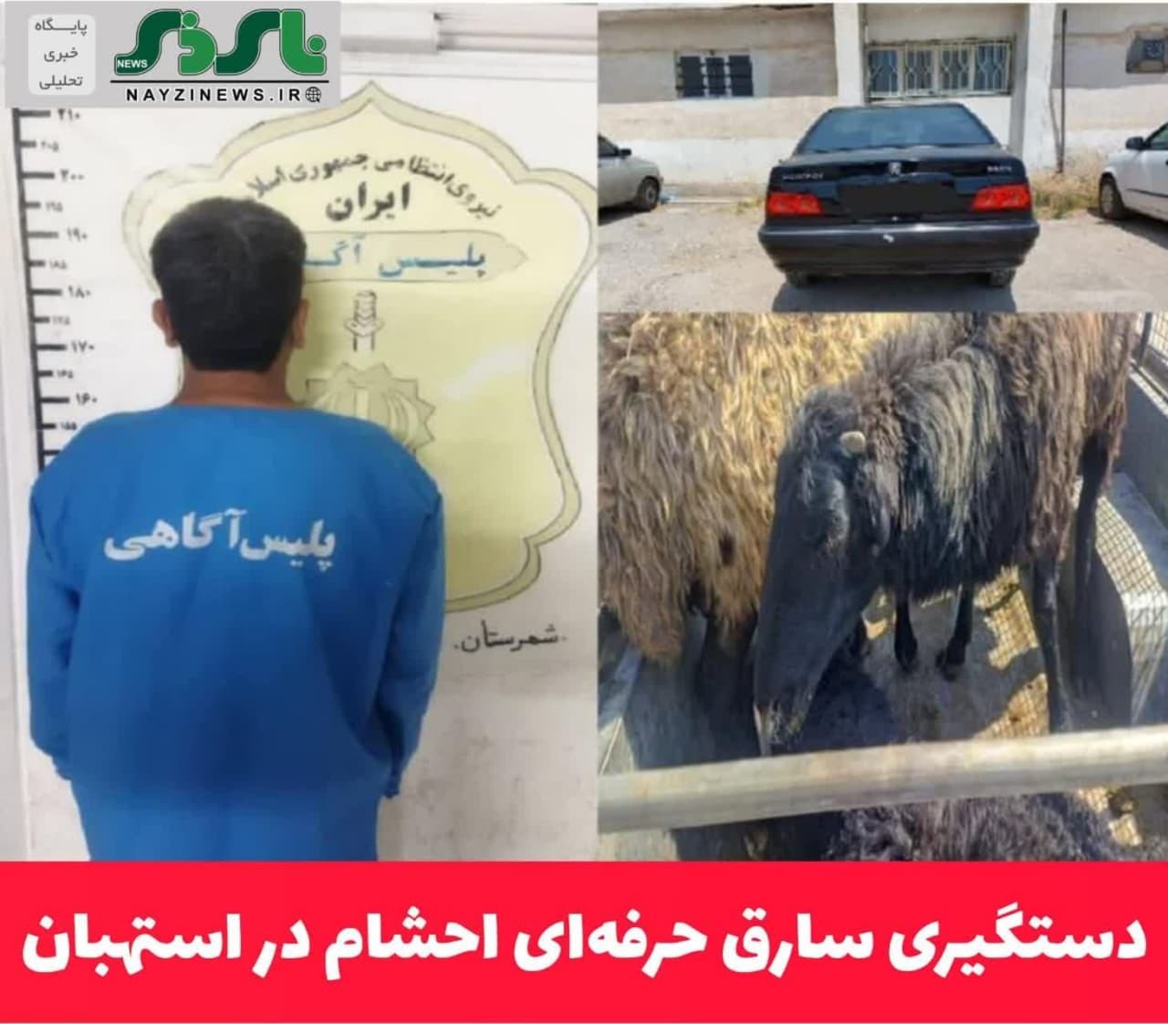 دستگیری سارق حرفه‌ای احشام در استهبان