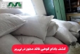 کشف بادام کوهی فاقد مجوز در نی‌ریز
