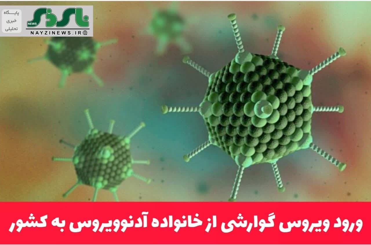 ورود ویروس گوارشی به کشور