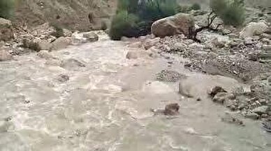 کلیپ/ جاری شدن رودخانه پلنگان و آبگیری گوراب اول شهر نی ریز در اثر بارندگی امروز