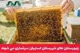  زنبورستان های شهرستان استهبان سرشماری می شوند