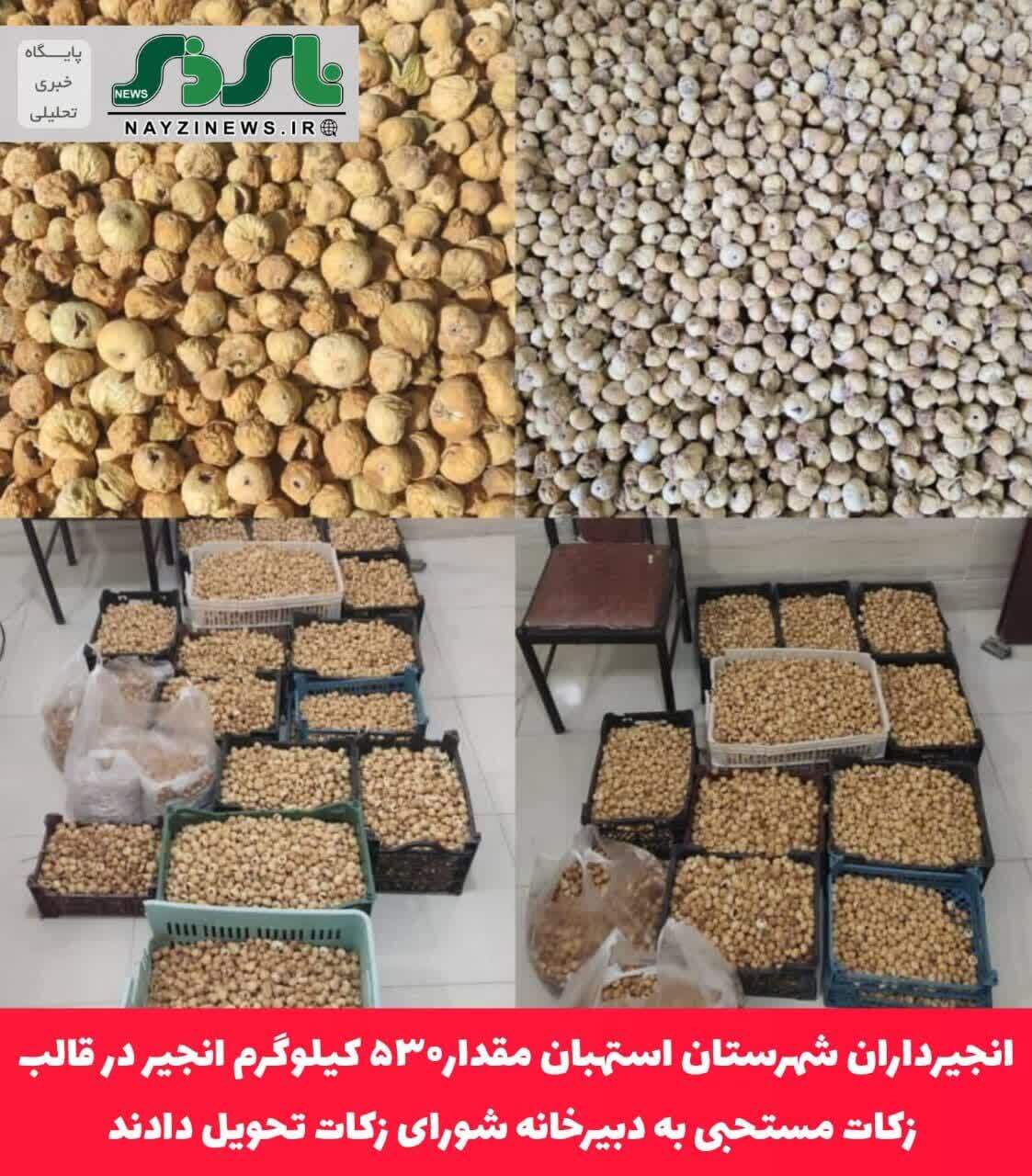 انجیرداران استهبانی قهرمانان نیکوکاری / انجیرداران شهرستان استهبان مقدار۵۳۰ کیلوگرم انجیر در قالب زکات مستحبی به دبیرخانه شورای تحویل دادند