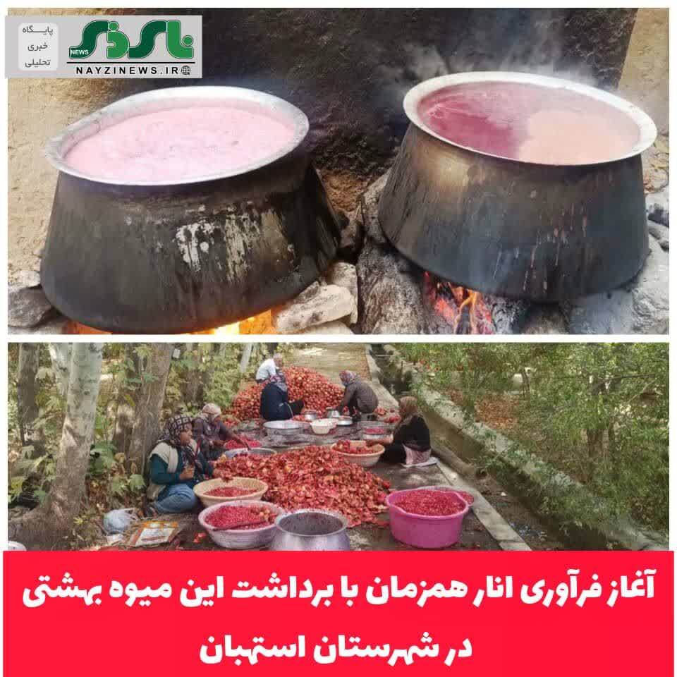 آغاز فرآوری انار همزمان با برداشت این میوه بهشتی در شهرستان استهبان