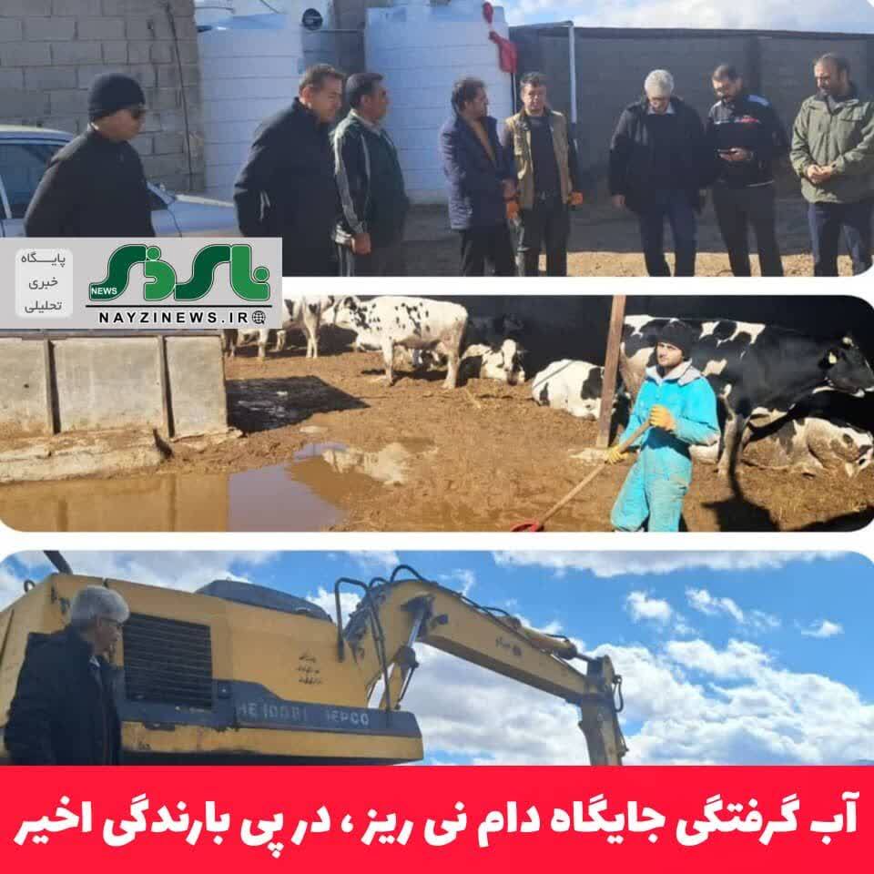 آبگرفتگی جایگاه دام نیریز در پی بارندگیهای اخیر آبگرفتگی جایگاه دام نیریز در پی بارندگیهای اخیر