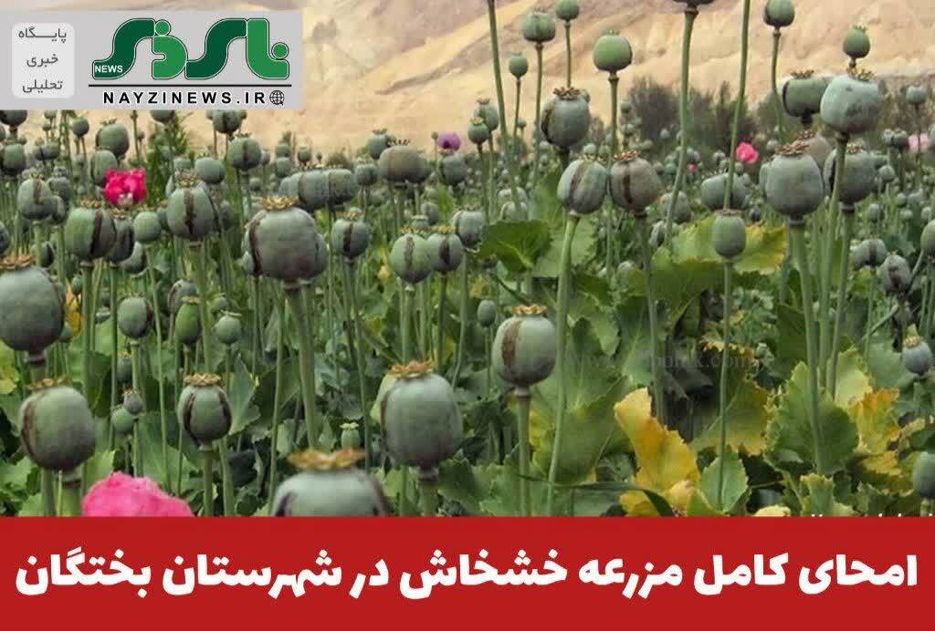 دادستان عمومی و انقلاب شهرستان نیریز از کشف و نابودی یک مزرعه بزرگ کشت خشخاش در شهرستان بختگان خبر داد. دادستان عمومی و انقلاب شهرستان نیریز از کشف و نابودی یک مزرعه بزرگ کشت خشخاش در شهرستان بختگان خبر داد.