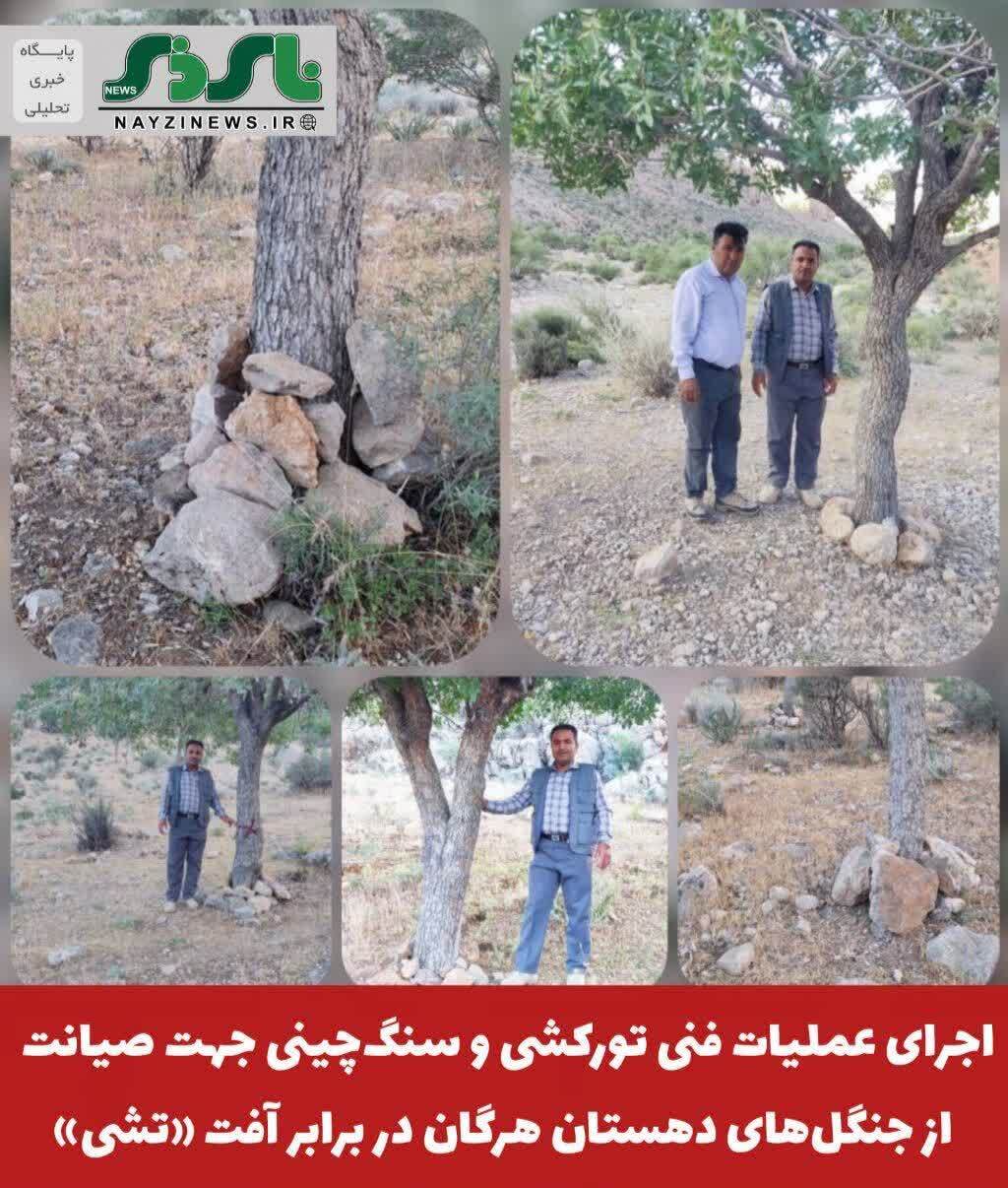 اجرای عملیات فنی تورکشی و سنگچینی جهت صیانت از جنگلهای دهستان هرگان در برابر آفت «تشی» اجرای عملیات فنی تورکشی و سنگچینی جهت صیانت از جنگلهای دهستان هرگان در برابر آفت «تشی»