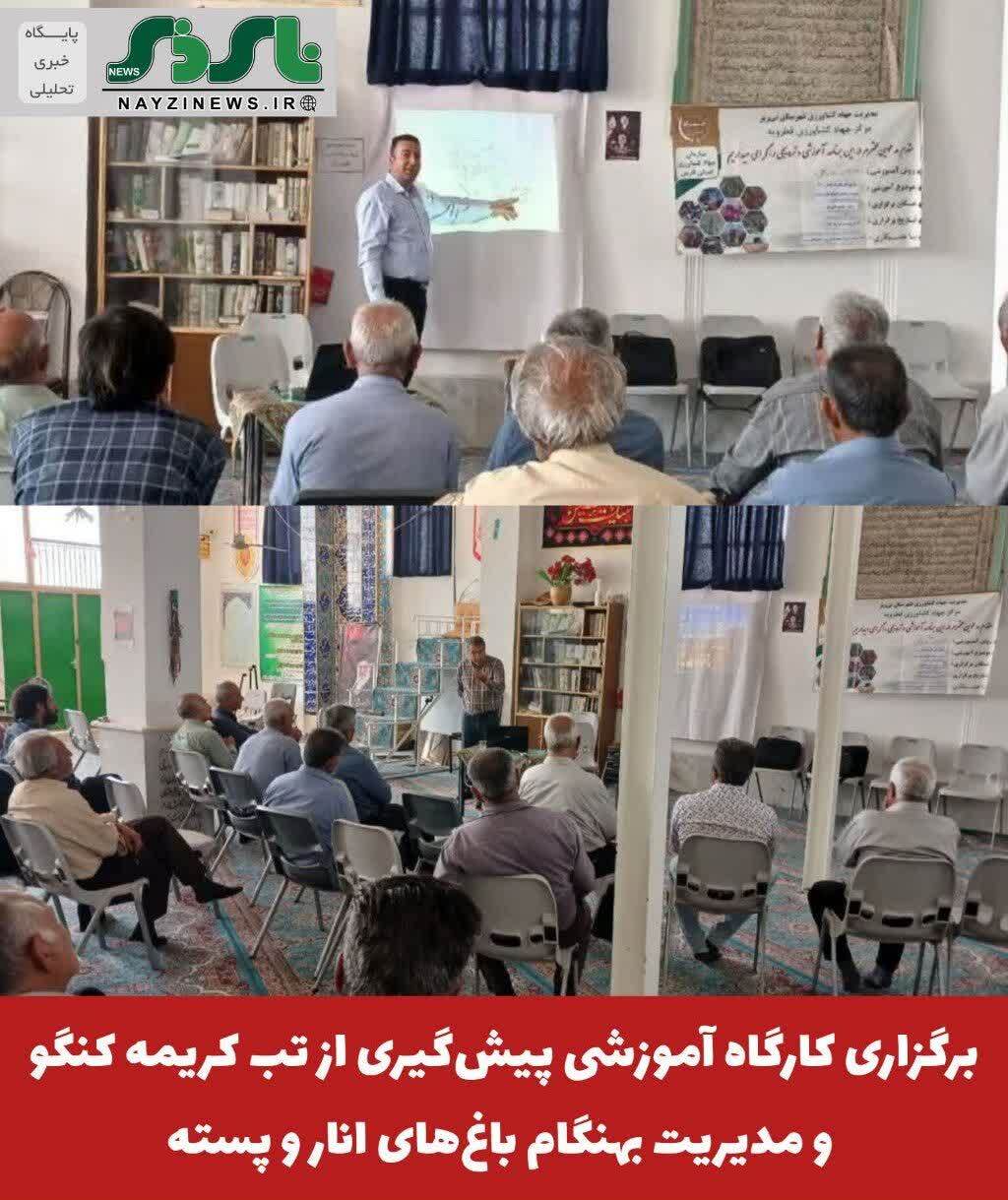 برگزاری کارگاه آموزشی پیشگیری از تب کریمه کنگو و مدیریت بهنگام باغهای انار و پسته برگزاری کارگاه آموزشی پیشگیری از تب کریمه کنگو و مدیریت بهنگام باغهای انار و پسته