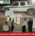  توقیف ۲۵۰ کیلوگرم شیرابه آنغوزه تلخ قاچاق در شهرستان نی‌ریز