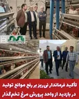  تأکید فرماندار نی‌ریز بر رفع موانع تولید در بازدید از واحد پرورش مرغ تخم‌گذار