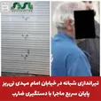  تیراندازی شبانه در خیابان امام مهدی نی‌ریز؛ پایان سریع ماجرا با دستگیری ضارب