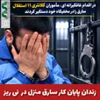 فرمانده انتظامي نی ریز از دستگيری یک نفر سارق منزل و کشف اموال سرقتي در این شهرستان خبر داد