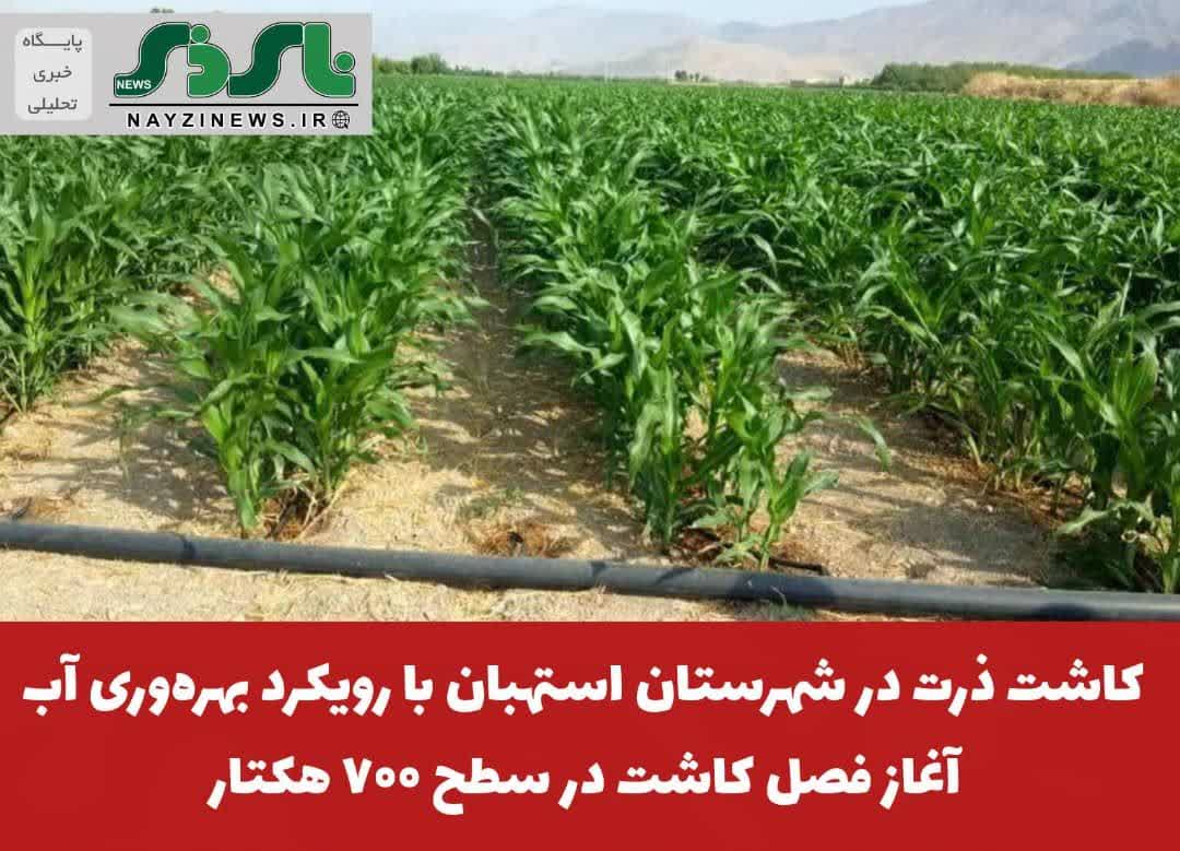 کاشت ذرت در شهرستان استهبان با رویکرد بهرهوری آب/ آغاز فصل کاشت در سطح ۷۰۰ هکتار کاشت ذرت در شهرستان استهبان با رویکرد بهرهوری آب/ آغاز فصل کاشت در سطح ۷۰۰ هکتار