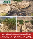 مهار آتش‌سوزی در انجیرستان‌های پلنگان نی‌ریز  / سهل‌انگاری، ۱.۳ میلیارد تومان خسارت بر جای گذاشت
