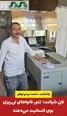  نانِ شرافت،تنور نانواهای نی‌ریزی بوی انسانیت می‌دهند