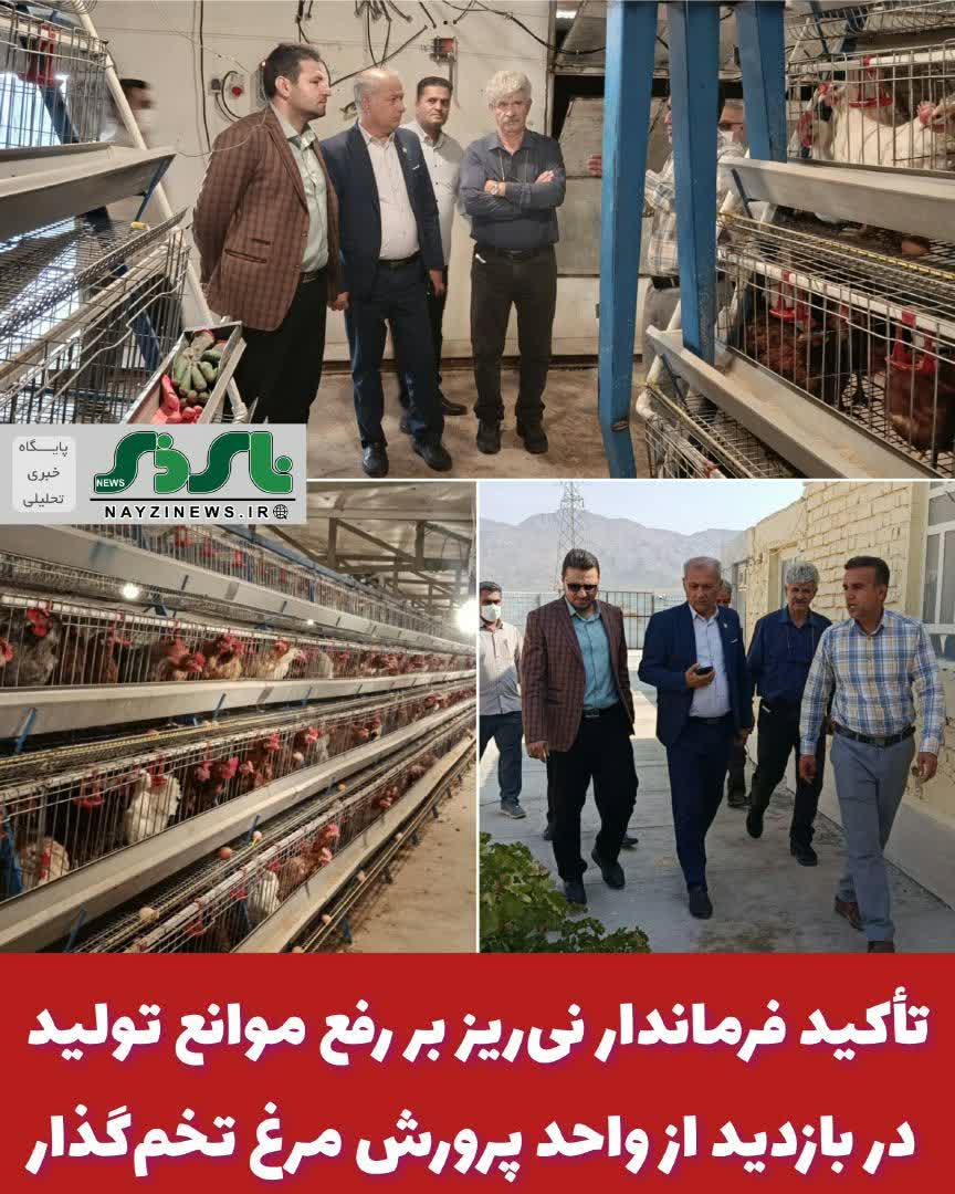  تأکید فرماندار نی‌ریز بر رفع موانع تولید در بازدید از واحد پرورش مرغ تخم‌گذار