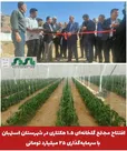  افتتاح مجتمع گلخانه‌ای ۱.۵ هکتاری در شهرستان استهبان با سرمایه‌گذاری ۲۵ میلیارد تومانی