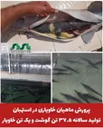 پرورش ماهیان خاویاری در استهبان ، تولید سالانه ۳۷.۵ تن گوشت و یک تن خاویار