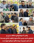 پلمپ ۴ میوه‌فروشی متخلف در نی ریز / نارضایتی شدید رئیس دادگستری از تفاوت فاحش قیمت‌ها / دادستان: توجیهات فروشندگان غیرقابل قبول است / رئیس تعزیرات: ۴۸ ساعت فرصت فروش و سپس پلمپ