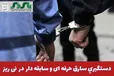 فرمانده انتظامي نی‌ریز از دستگيري سارق حرفه‌اي و سابقه‌دار و کشف 7 فقره سرقت در اين شهرستان خبر داد