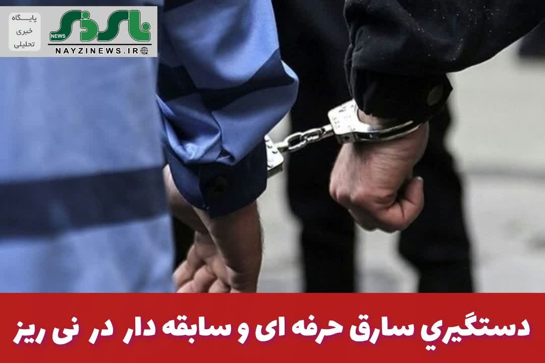 فرمانده انتظامي نی‌ریز از دستگيري سارق حرفه‌اي و سابقه‌دار و کشف 7 فقره سرقت در اين شهرستان خبر داد