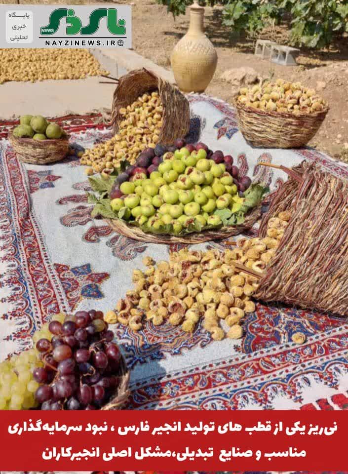 نیریز یکی از قطب های تولید انجیر فارس است/ نبود سرمایهگذاری مناسب و صنایع تبدیلی،مشکل اصلی انجیرکاران نیریز یکی از قطب های تولید انجیر فارس است/ نبود سرمایهگذاری مناسب و صنایع تبدیلی،مشکل اصلی انجیرکاران