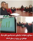 سوانح و حوادث ترافیکی، صدرنشین علل مرگ جوانان نی ریزی در سال ۱۴۰۴